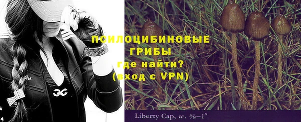 ешки Абаза