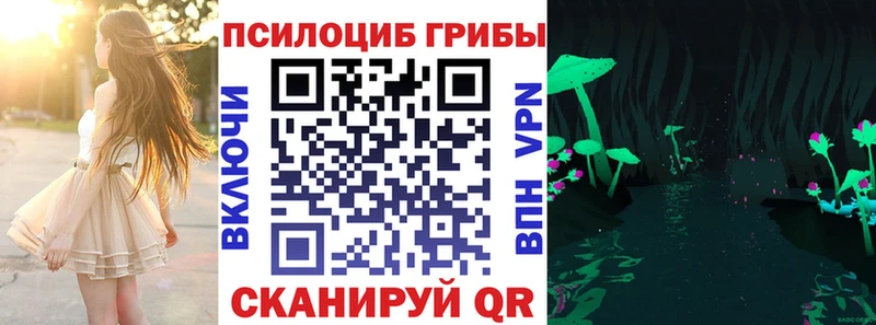 Псилоцибиновые грибы Cubensis  Кудымкар 